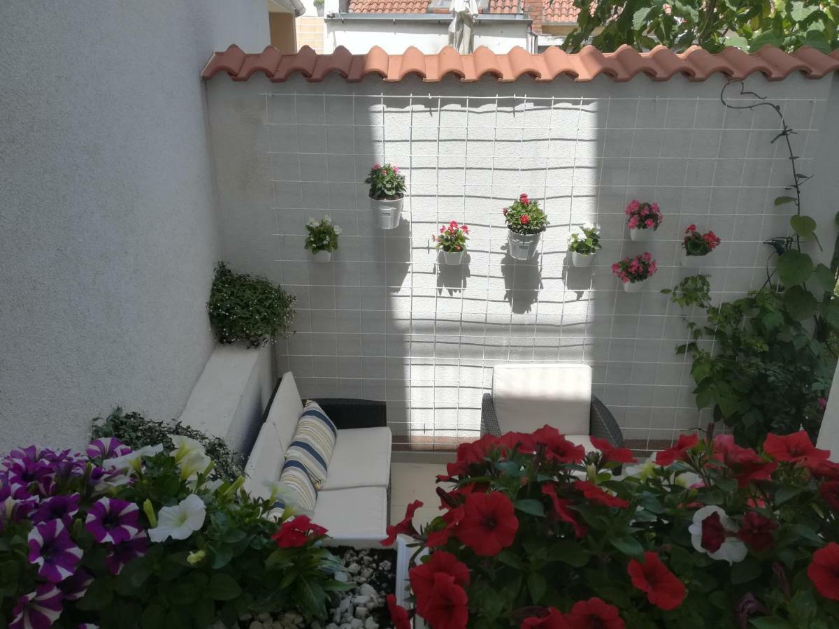 Apartmani Eladora 비오그라드나모루 외부 사진